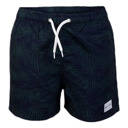 Junior Luca Swim Shorts Blue/Green