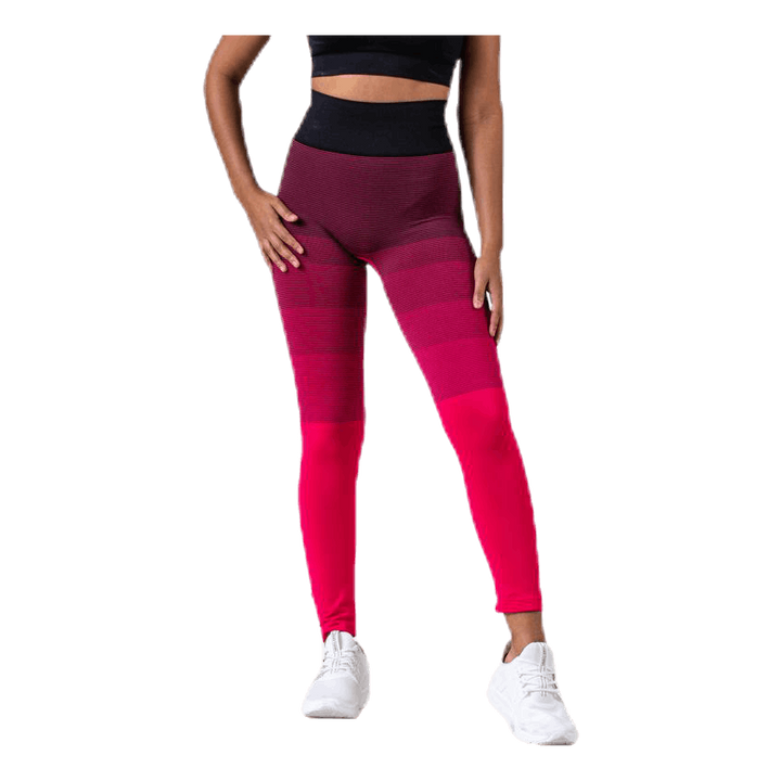 Gradient Seamless Tights Pink