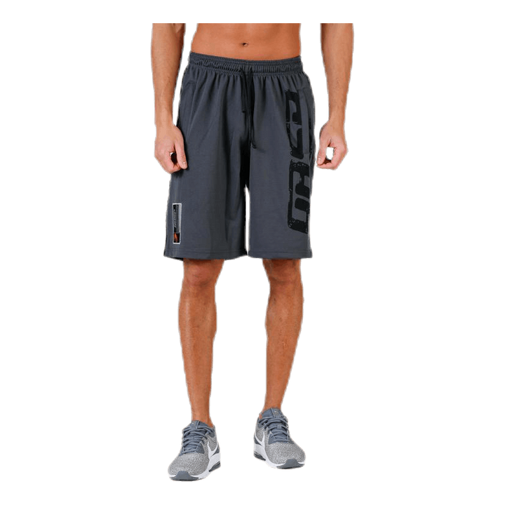 Pro mesh shorts Grey