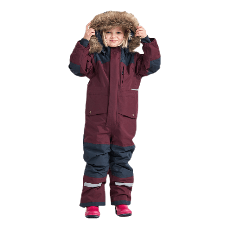 Björnen Coverall 4 Purple