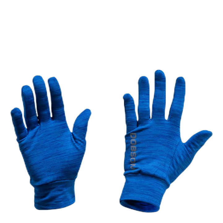 Gloves W16 Blue