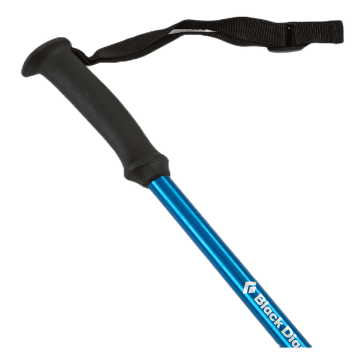 Trail Explorer Trek Poles Blue