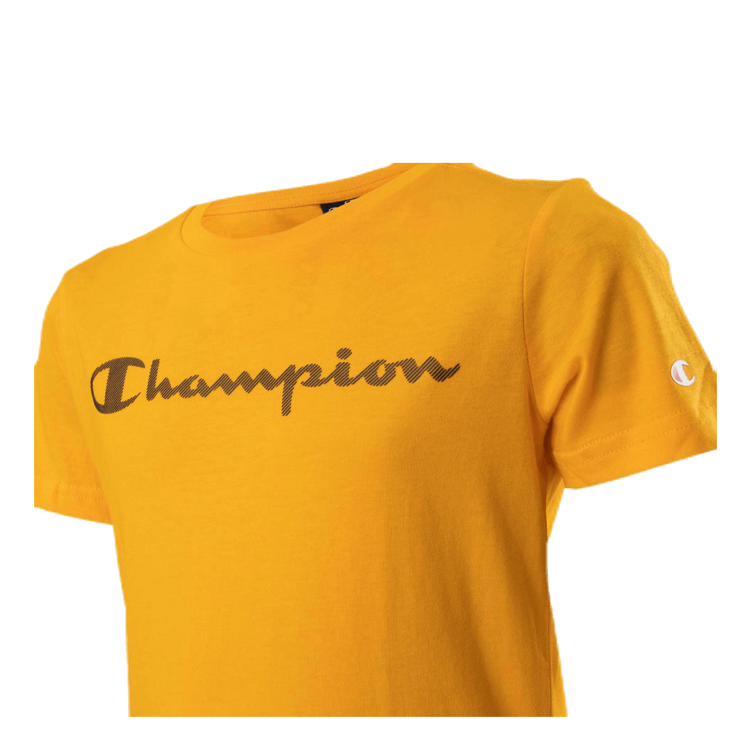 Chandail champion junior best sale