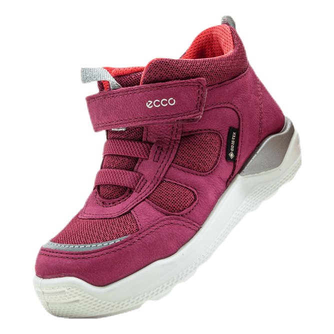 Ecco 2024 urban mini
