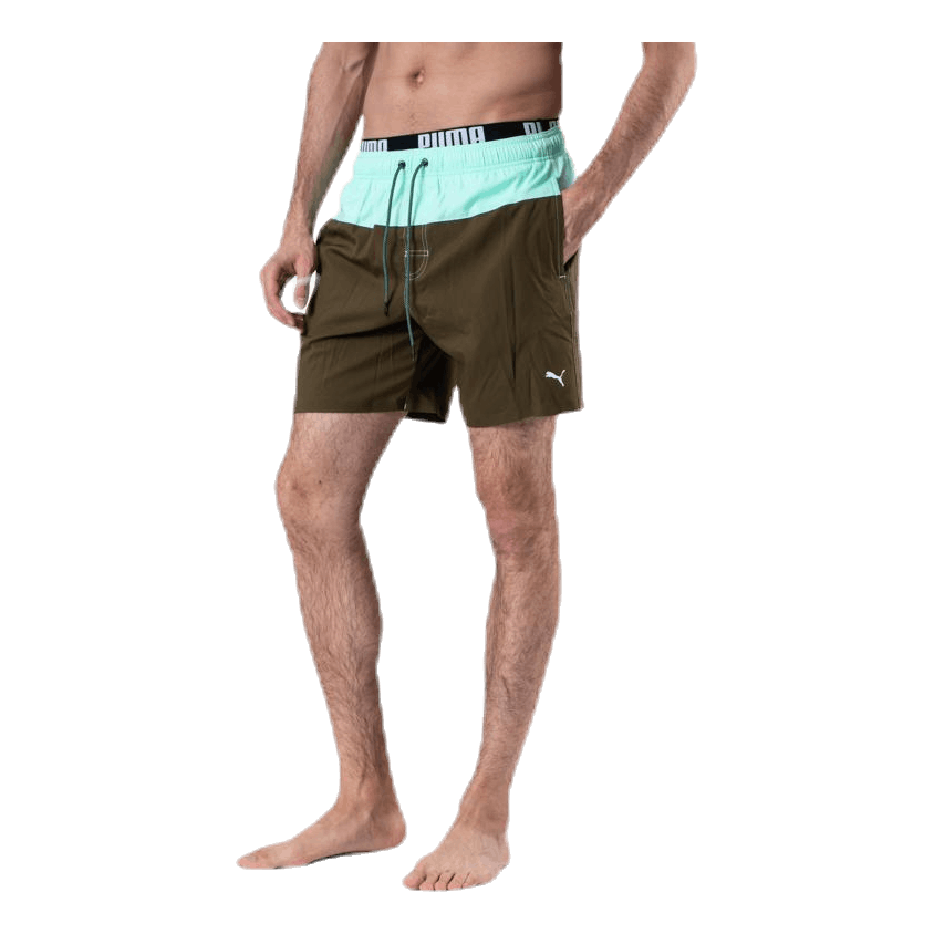 Logo Medium Length Swim Shorts Brown/Green