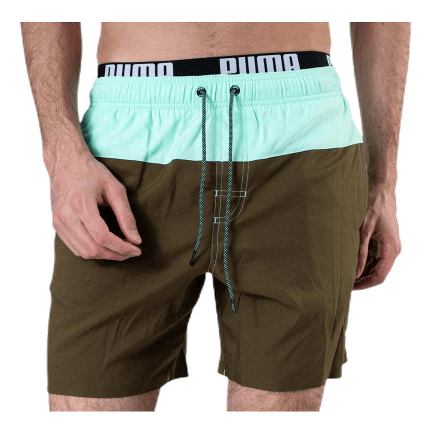 Logo Medium Length Swim Shorts Brown/Green