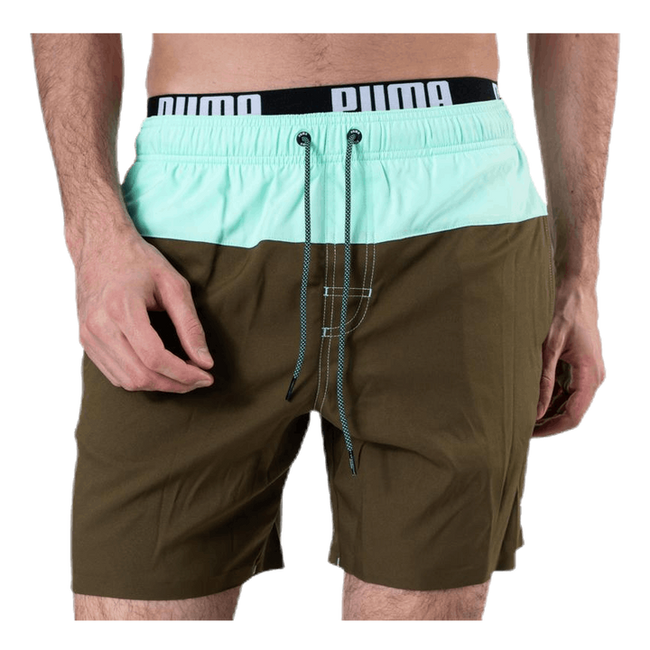 Logo Medium Length Swim Shorts Brown/Green