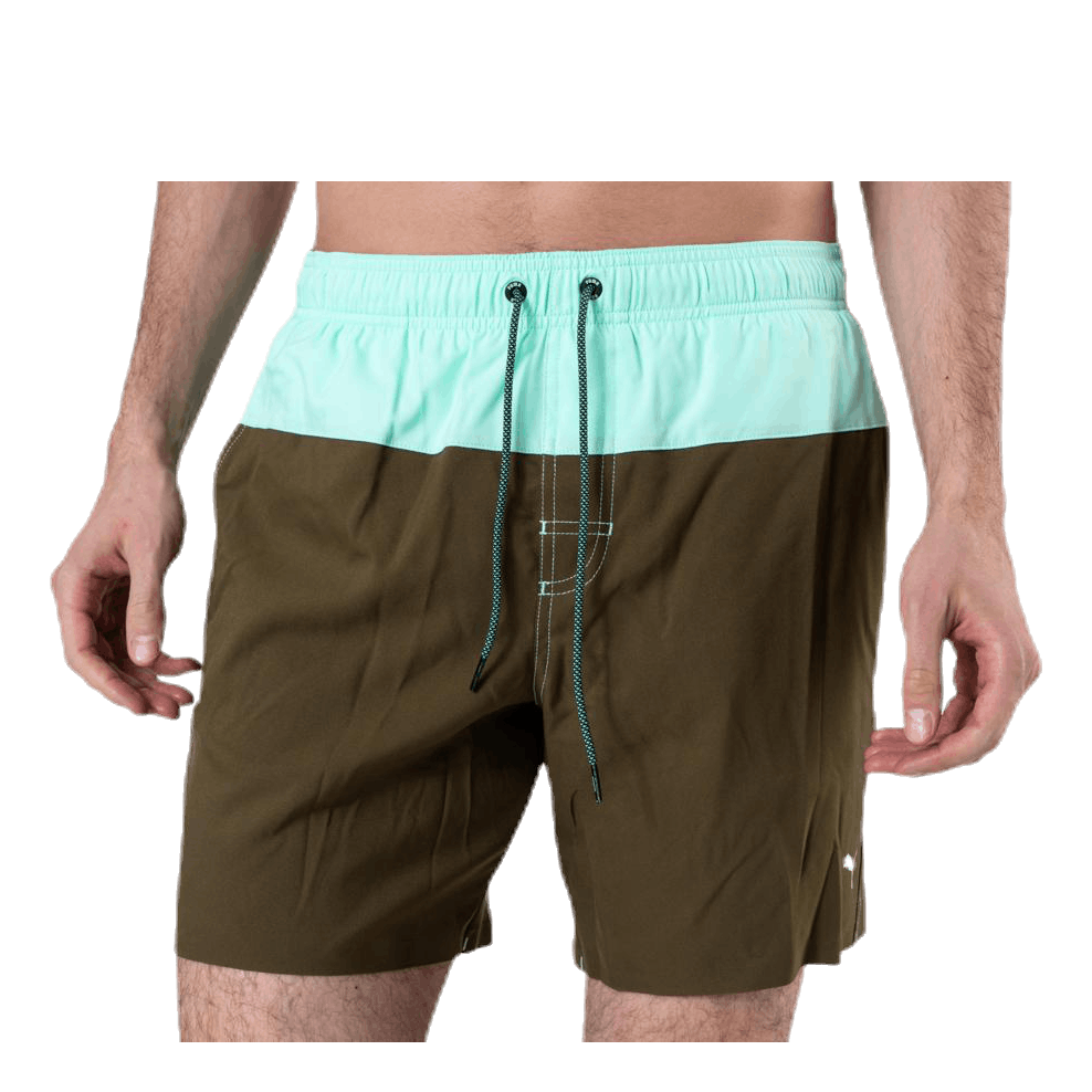 Logo Medium Length Swim Shorts Brown/Green