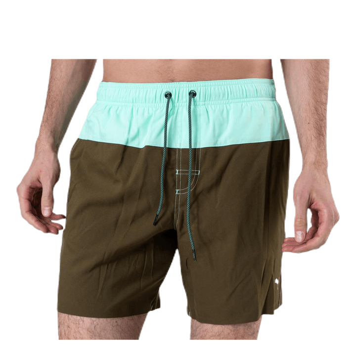 Logo Medium Length Swim Shorts Brown/Green