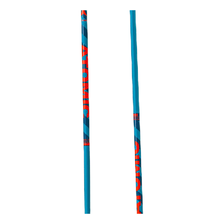 Amt Ski Pole Blue