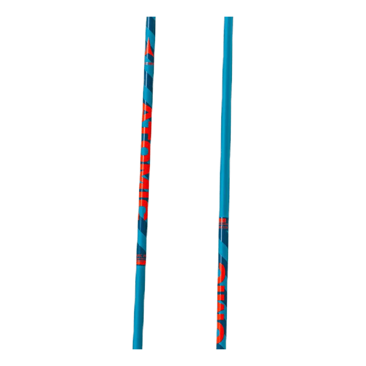 Amt Ski Pole Blue