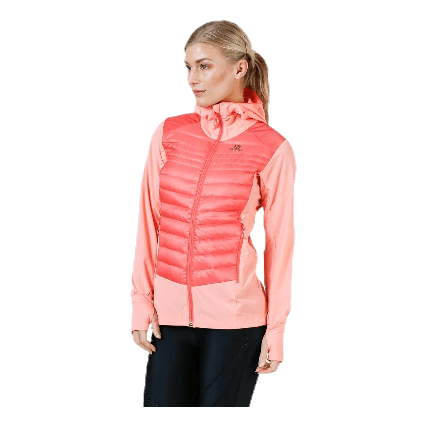 Salomon haloes down hybrid sales