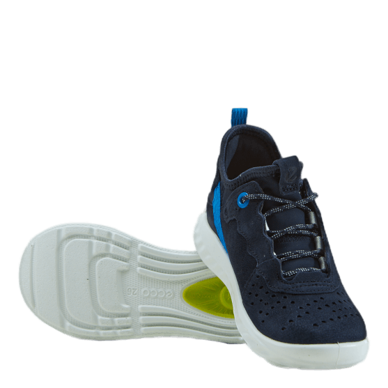 Ecco soft 1 2024 blue